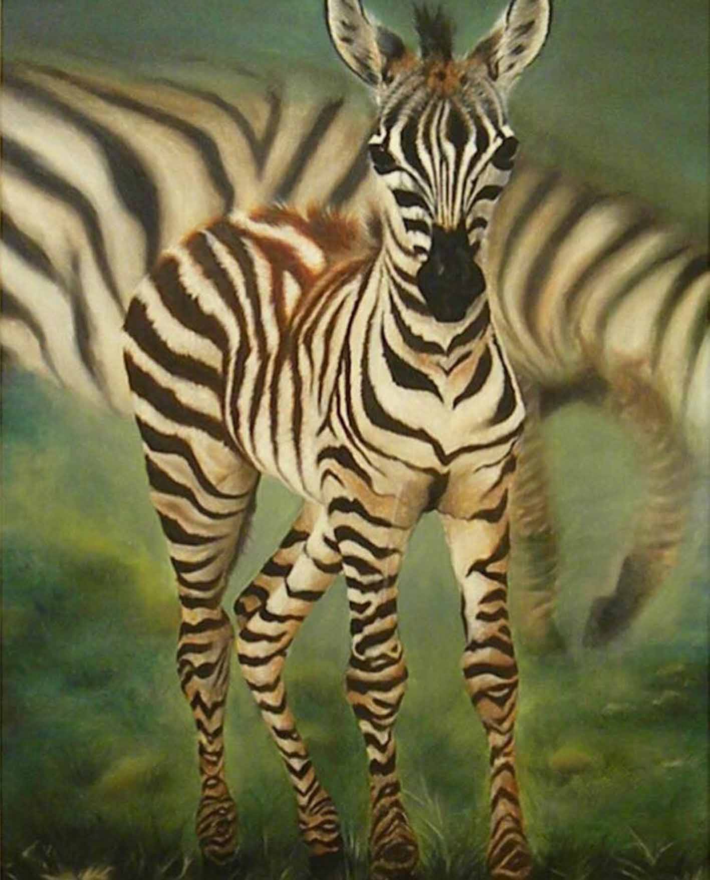 Galeria de Arte Marcela Palisca  Art Gallery